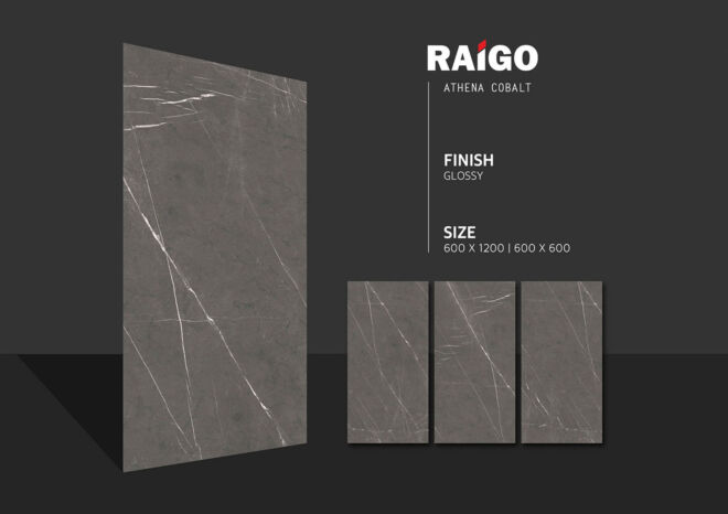 RAIGO-CERAMICA-600X12000-PGVT-GVT-VITRIFIED-FLOOR-TILES-0 (19)