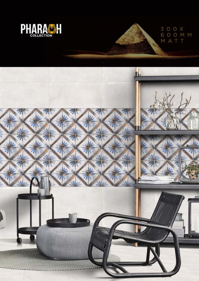 Raigo-Ceramica-Digital-Wall-Tiles-300-x-600-MM-MATT-COLLECTIONS (1)