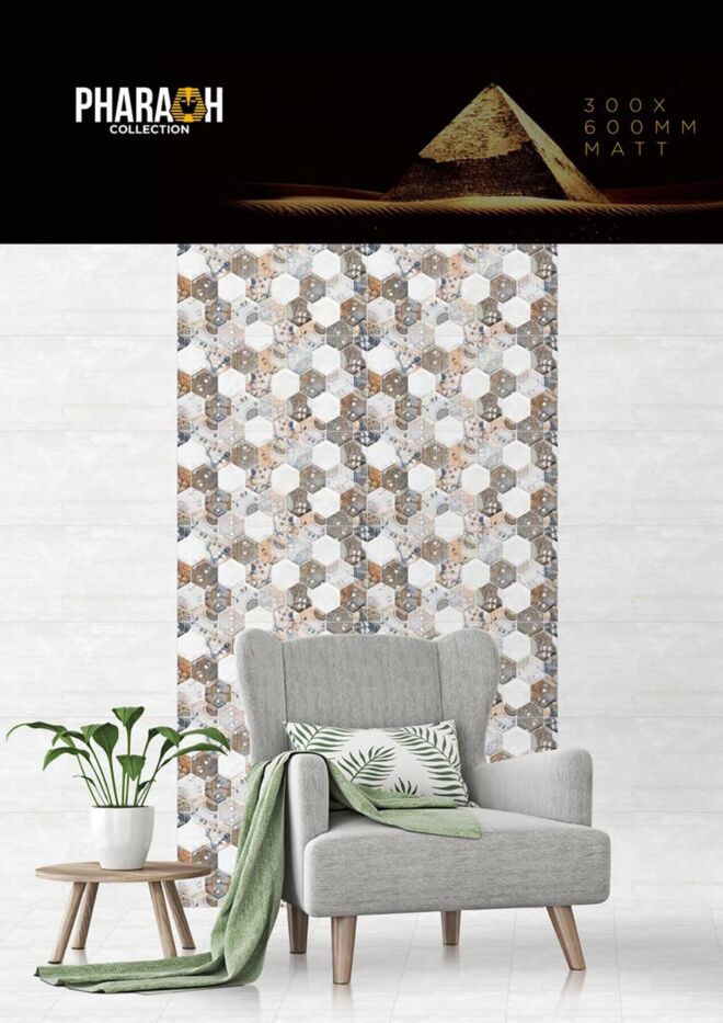 Raigo-Ceramica-Digital-Wall-Tiles-300-x-600-MM-MATT-COLLECTIONS (11)
