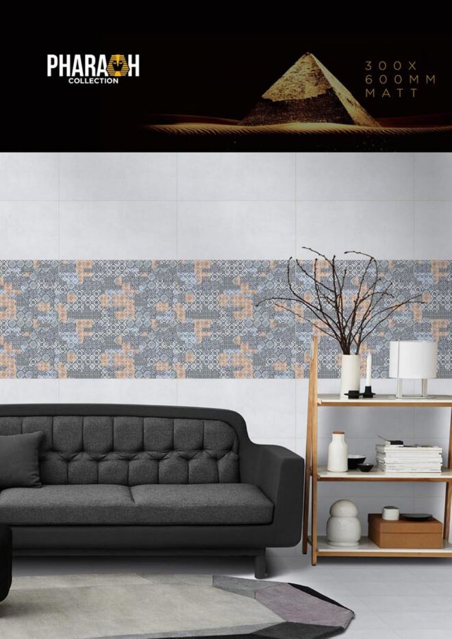 Raigo-Ceramica-Digital-Wall-Tiles-300-x-600-MM-MATT-COLLECTIONS (13)