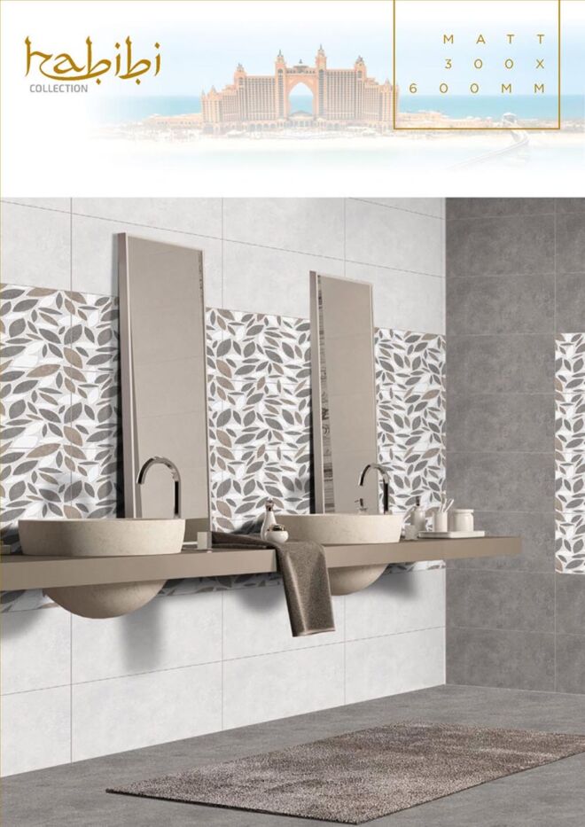 Raigo-Ceramica-Digital-Wall-Tiles-300-x-600-MM-MATT-COLLECTIONS (18)