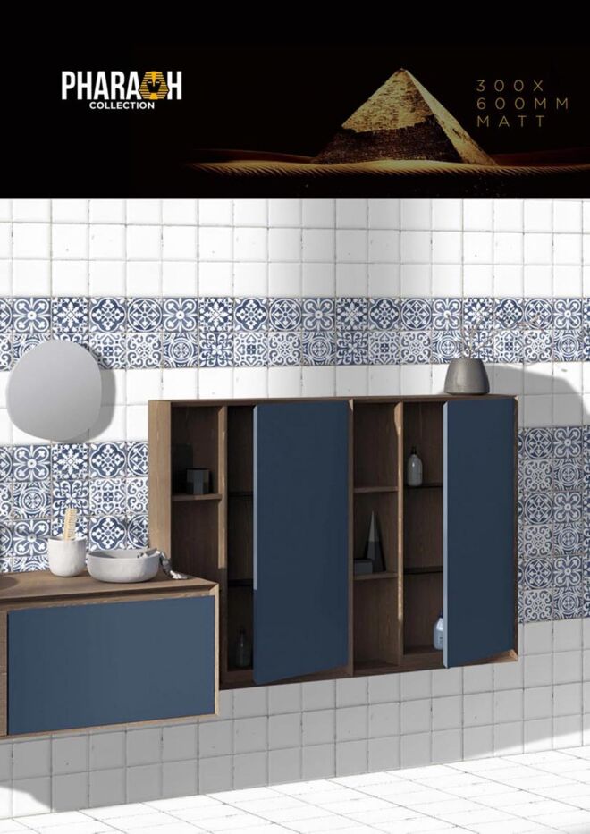 Raigo-Ceramica-Digital-Wall-Tiles-300-x-600-MM-MATT-COLLECTIONS (19)