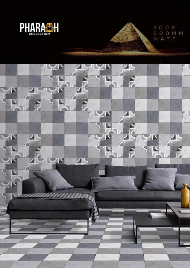 Raigo-Ceramica-Digital-Wall-Tiles-300-x-600-MM-MATT-COLLECTIONS (21)