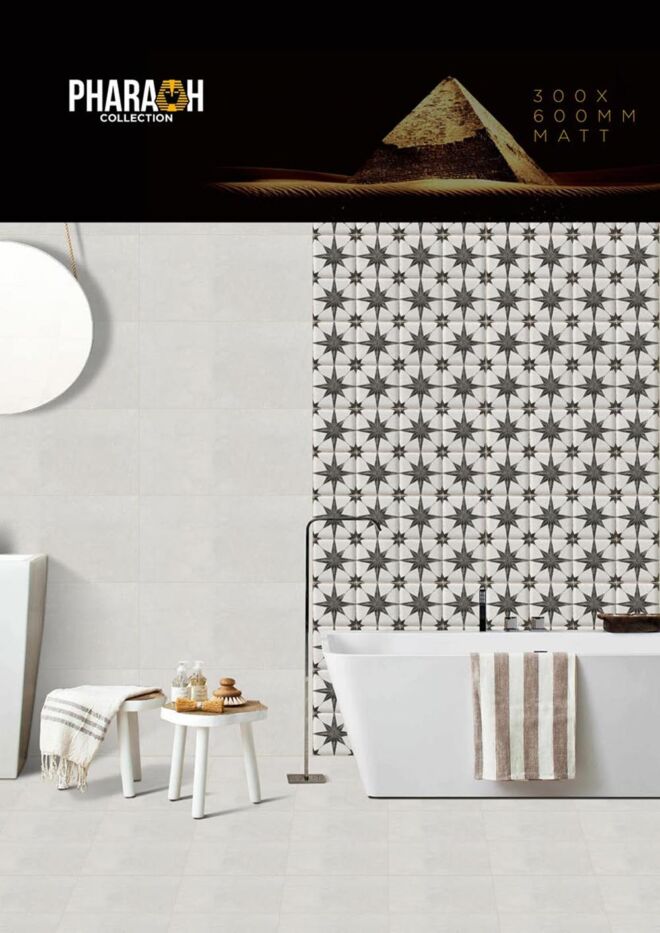 Raigo-Ceramica-Digital-Wall-Tiles-300-x-600-MM-MATT-COLLECTIONS (23)