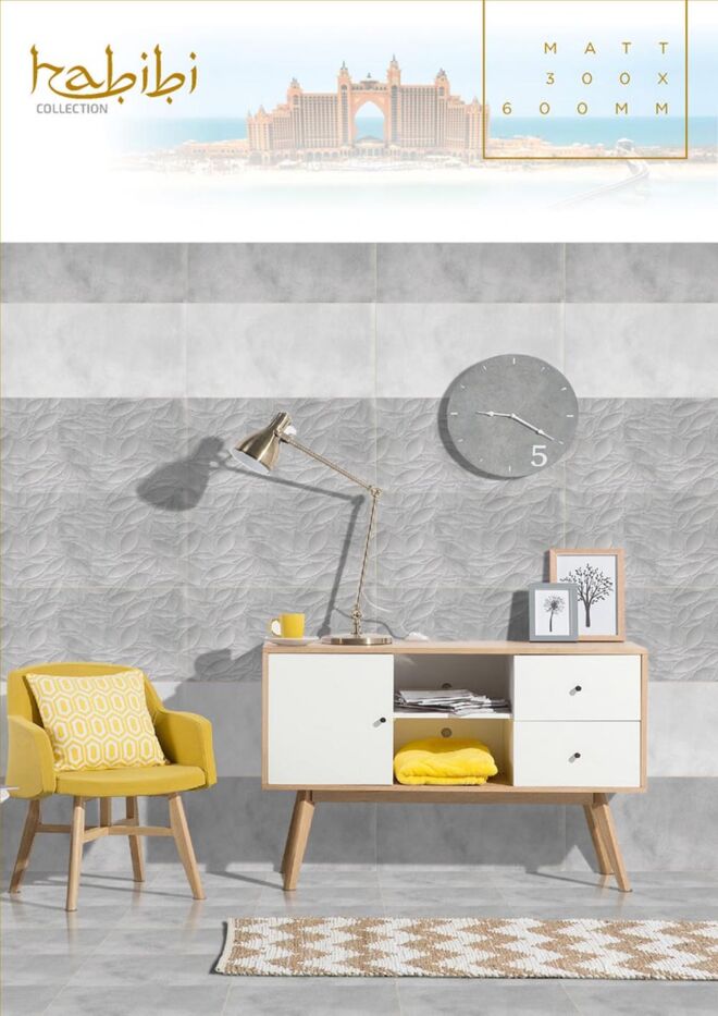 Raigo-Ceramica-Digital-Wall-Tiles-300-x-600-MM-MATT-COLLECTIONS (24)