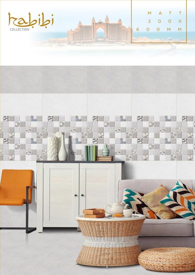 Raigo-Ceramica-Digital-Wall-Tiles-300-x-600-MM-MATT-COLLECTIONS (25)