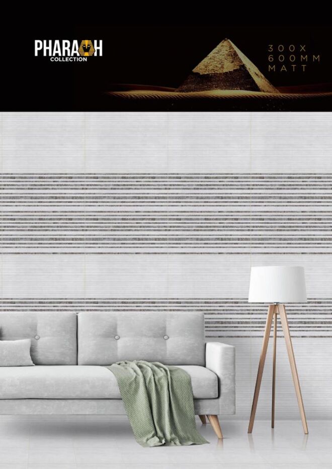Raigo-Ceramica-Digital-Wall-Tiles-300-x-600-MM-MATT-COLLECTIONS (26)