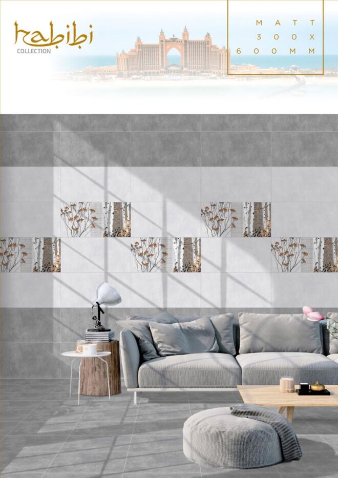 Raigo-Ceramica-Digital-Wall-Tiles-300-x-600-MM-MATT-COLLECTIONS (27)