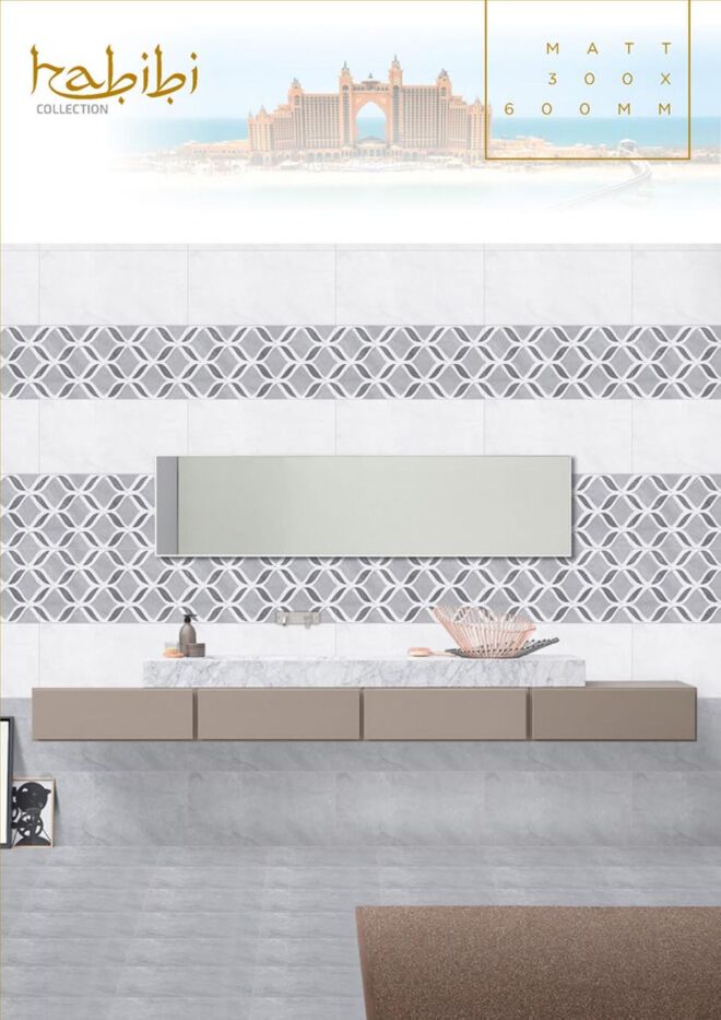 Raigo-Ceramica-Digital-Wall-Tiles-300-x-600-MM-MATT-COLLECTIONS (28)
