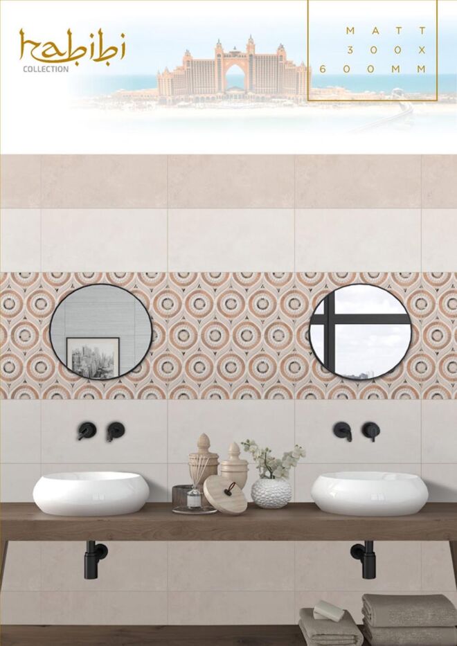 Raigo-Ceramica-Digital-Wall-Tiles-300-x-600-MM-MATT-COLLECTIONS (30)
