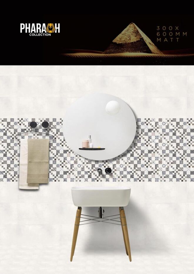 Raigo-Ceramica-Digital-Wall-Tiles-300-x-600-MM-MATT-COLLECTIONS (31)