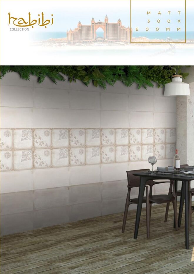 Raigo-Ceramica-Digital-Wall-Tiles-300-x-600-MM-MATT-COLLECTIONS (33)
