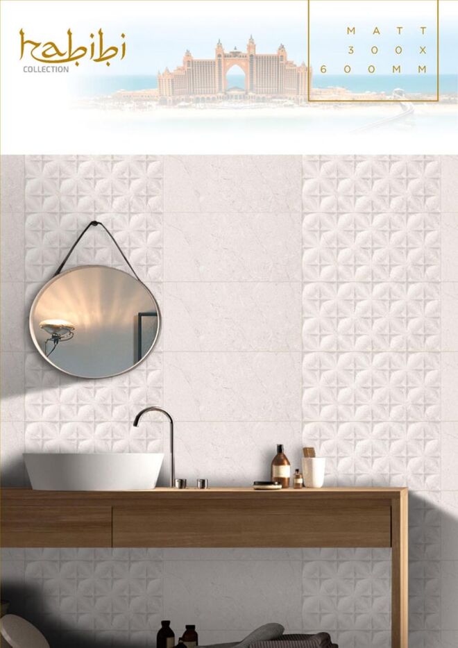 Raigo-Ceramica-Digital-Wall-Tiles-300-x-600-MM-MATT-COLLECTIONS (34)
