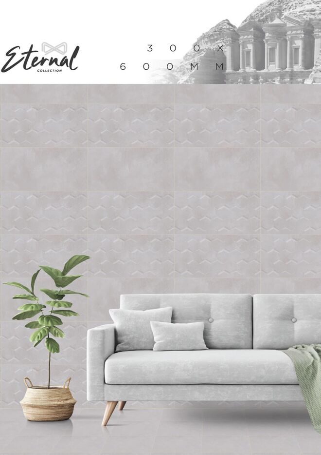 Raigo-Ceramica-Digital-Wall-Tiles-300-x-600-MM-MATT-COLLECTIONS (35)