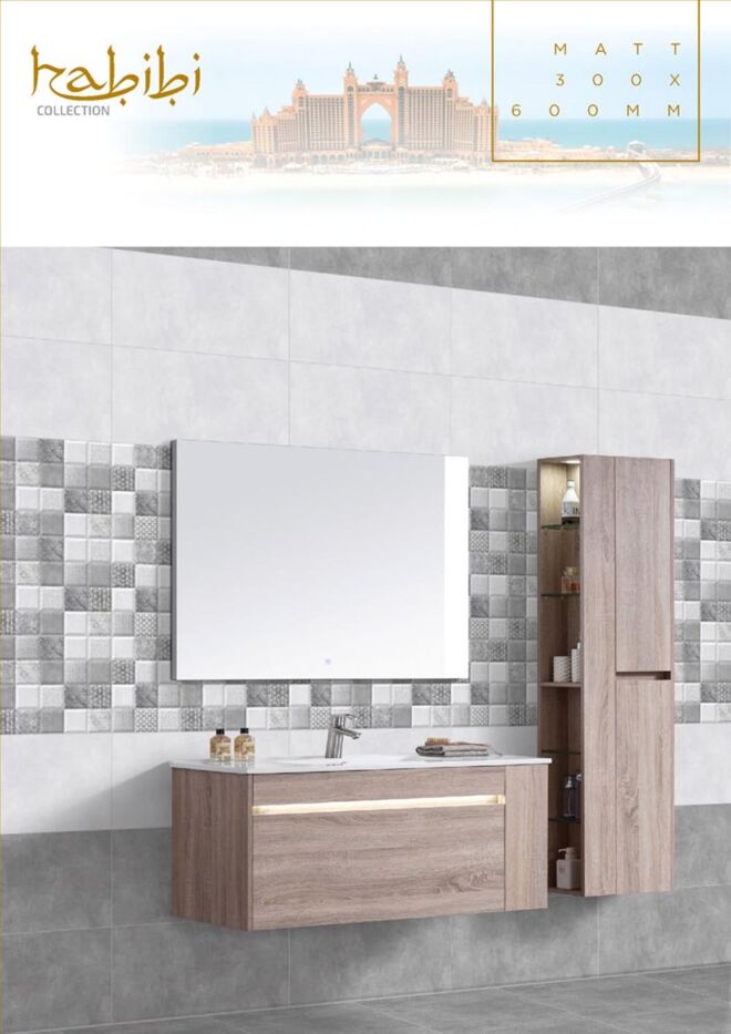 Raigo-Ceramica-Digital-Wall-Tiles-300-x-600-MM-MATT-COLLECTIONS (38)