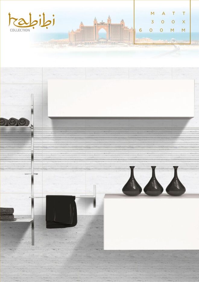 Raigo-Ceramica-Digital-Wall-Tiles-300-x-600-MM-MATT-COLLECTIONS (41)