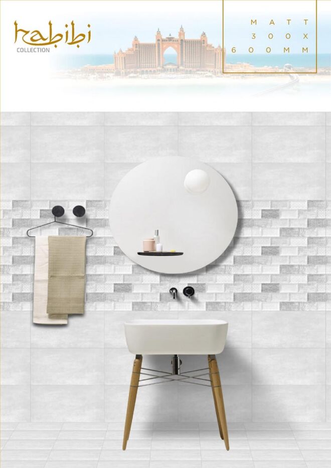 Raigo-Ceramica-Digital-Wall-Tiles-300-x-600-MM-MATT-COLLECTIONS (43)