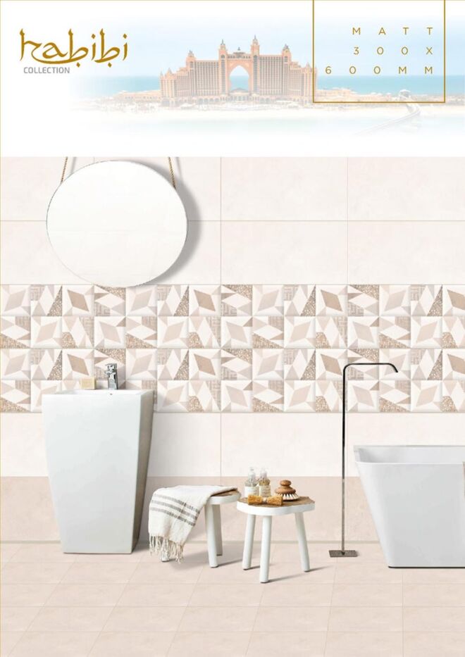 Raigo-Ceramica-Digital-Wall-Tiles-300-x-600-MM-MATT-COLLECTIONS (44)