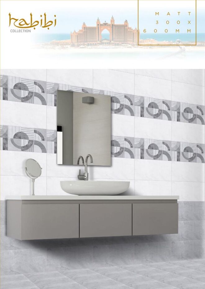 Raigo-Ceramica-Digital-Wall-Tiles-300-x-600-MM-MATT-COLLECTIONS (45)