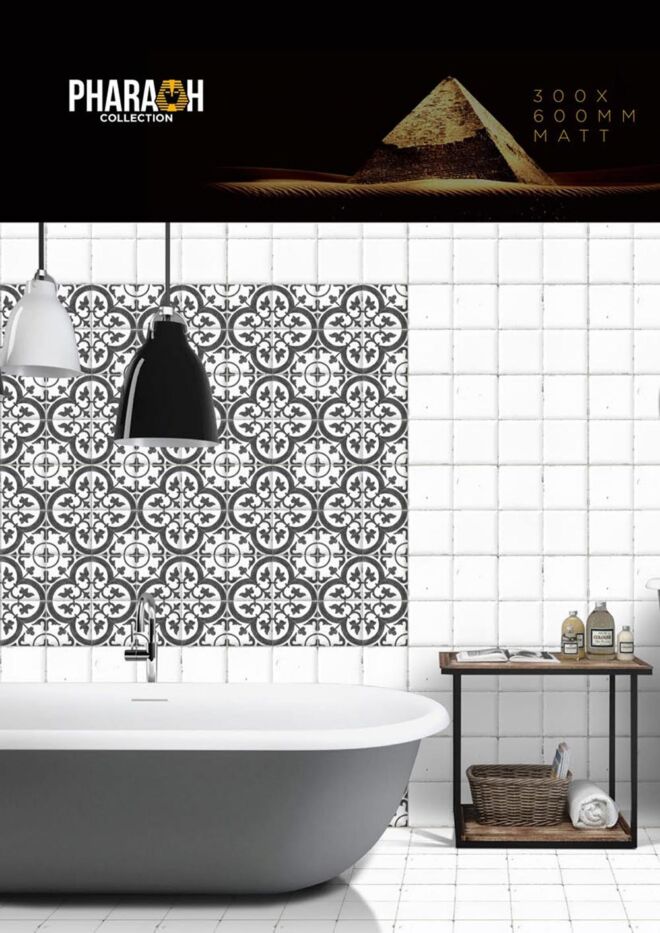 Raigo-Ceramica-Digital-Wall-Tiles-300-x-600-MM-MATT-COLLECTIONS (9)